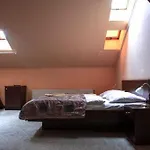 Victor Hotel 3*
