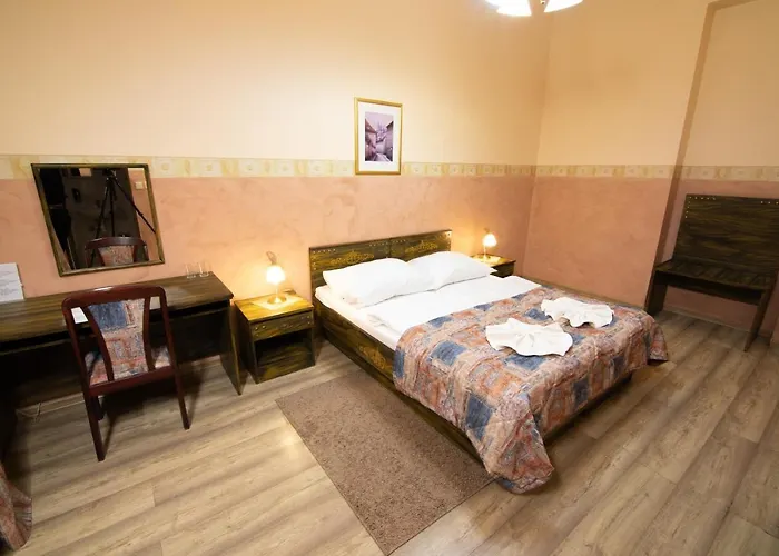 Hotel Victor 3*