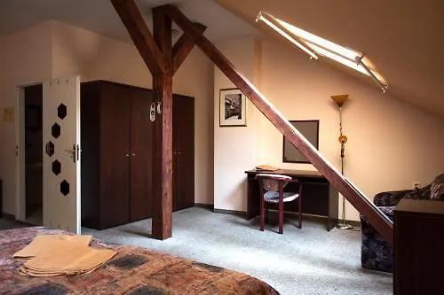 Hotel Victor Prag